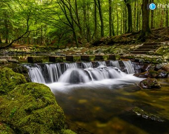The Stepping Stones, Tollymore Forest Photography Print, Ireland Photography, Mourne Mountains, Northern Ireland, County Down, Wall Art