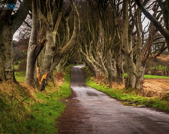 The Dark Hedges, Photography Print, Ireland Photography, Dark Hedges Print, Northern Ireland, Antrim, Armoy, Ballymoney, Irish Wall Art
