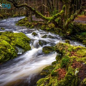 Tollymore Forest, Mourne Mountains, Shimna River, Ireland Photography, Northern Ireland Photos, Newcastle County Down, Irish Wall Art