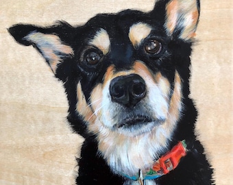 Sled dog, Giclee Print 9x12"