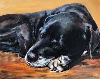May include: A black dog with white paws is sleeping on a wooden surface. The dog's fur is shiny and smooth, and its eyes are closed. The dog's head is resting on its paws, and its body is curled up in a relaxed position.