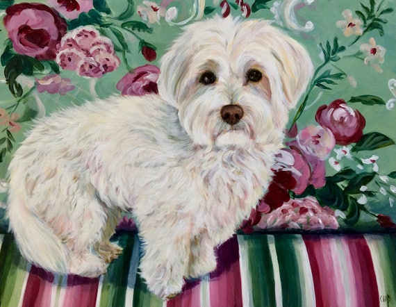 Coton de Tulear  Giclee Print, 11 x 14