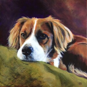 Border Collie mix, Giclee Print, 12 x 12