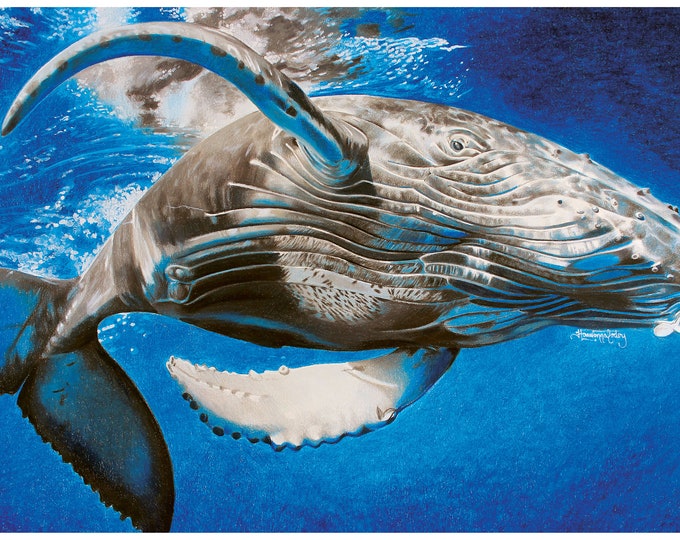 Whale Colored Pencil Drawing | Etsy