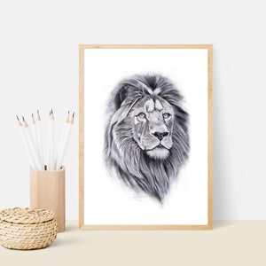 Collectible Bean Representing Mia Zebra And White Lion Etsy