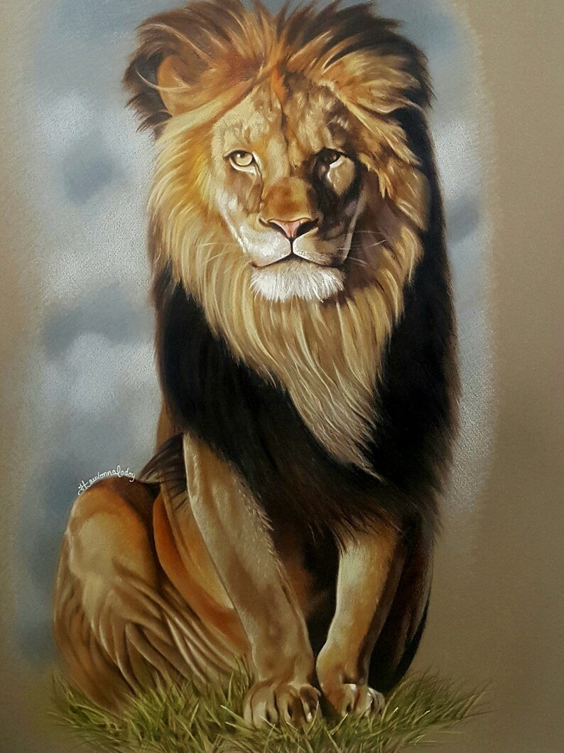 Original Colored Pencil Drawing Lion Artwork Pencil Drawing Etsy