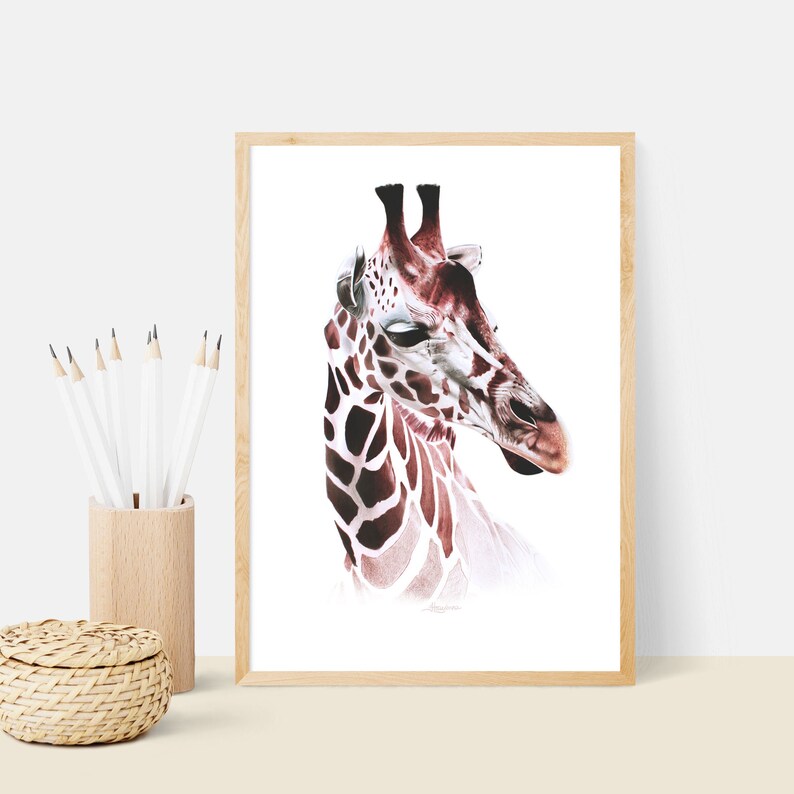 Giraffe Colored Pencil Drawing Giraffe Drawing Giraffe Art Etsy
