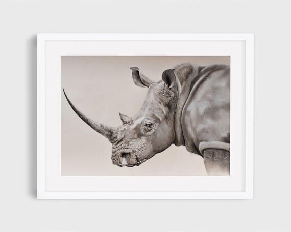 Original Rhino Drawing | Etsy
