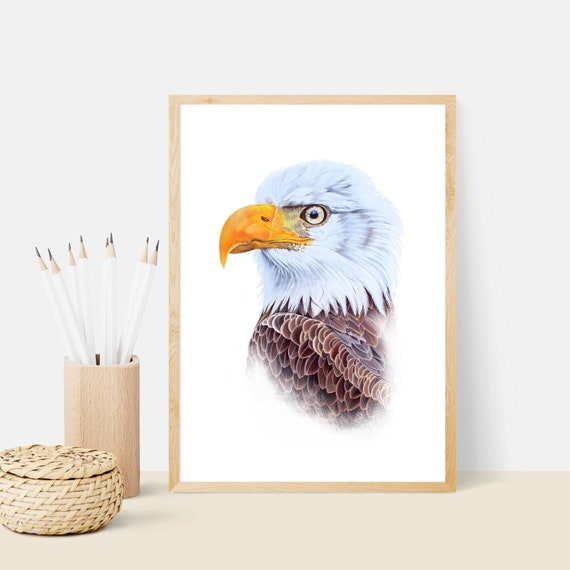 Dibujo a lápiz de color águila arte de águila retrato de - Etsy España Dibujo a lápiz de color águila arte de águila retrato de - Etsy España