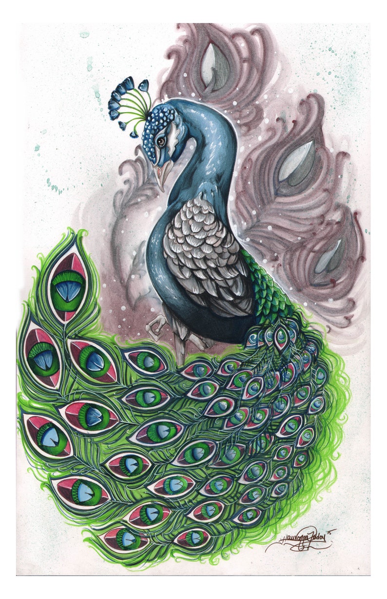 nature art, Peacock colored pencil print Peacock art pencil drawing bird art peacock portrait