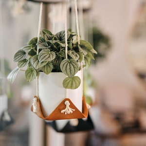 May include: A white ceramic planter with a green leafy plant hanging from a white macrame cord. The planter is suspended from a brown leather triangle with white tassels.