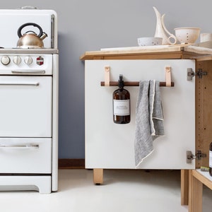 Under the Kitchen Sink Cabinet Door Storage rail for cleaning product organizer spray bottle holder towel rack space saving pantry design