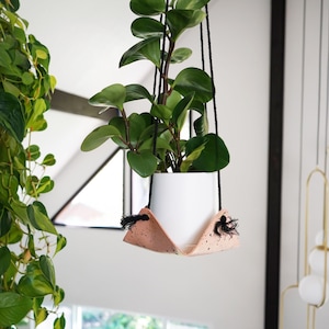 May include: A green leafy plant in a white cylindrical pot held by a light pink speckled material cradle. The cradle is suspended by thin black cords that feature small black tassels at the points where they connect to the pink material base.