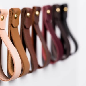 A row of installed wall straps lined up on a wall displaying all available colors.