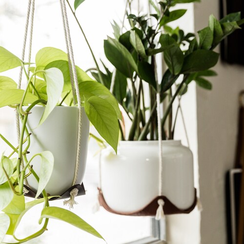 indoor hanging plant hanger leather plant hammock hanging indoor jungle air plant hanger macrame plant holder minimal planter hygge decor
