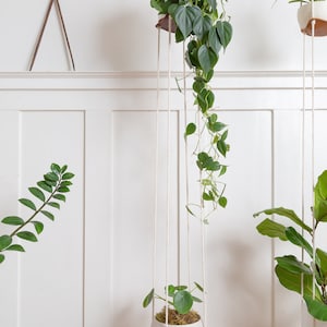 A Double Leather Plant Hammock suspended against a white wall.