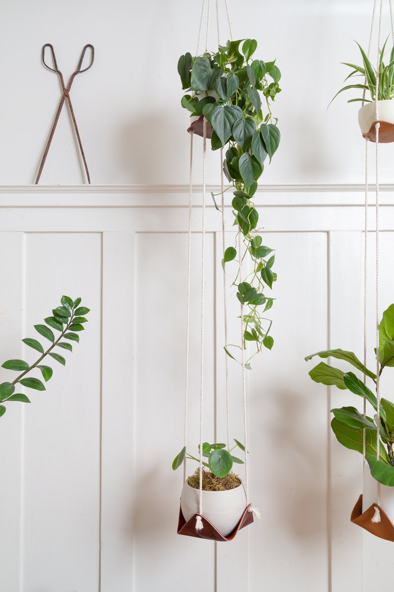 A Double Leather Plant Hammock suspended against a white wall.