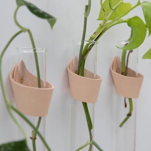 May include: Three clear glass test tube vases with light tan leather holders, each holding a green plant stem. The vases are mounted on a white wall, creating a minimalist and modern aesthetic for home decor.