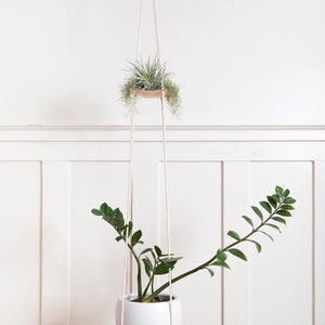 A Double Leather Plant Hammock suspended from the ceiling against a white background. Color shown is Veg-Tan.