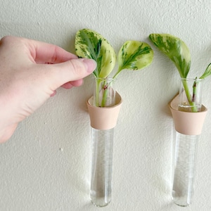 Conjunto de 3 tubos de propagação de couro e vidro para montagem em parede