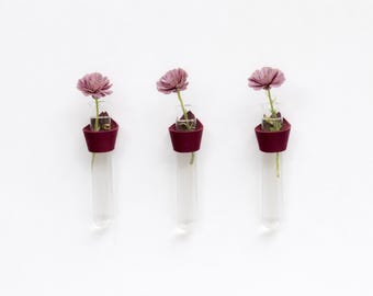 Wall mounted leather + glass bud vase for propagation or dried flowers [Set of 3]