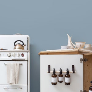 A kitchen scene of a Cabinet Rail Kit installed under the sink on a cabinet door.