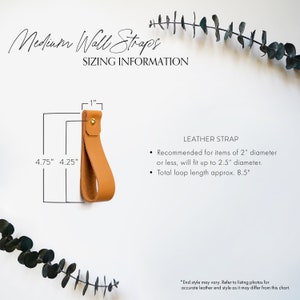 Guide with sizing information recommending the diameter of items that will fit with the Medium wall strap.