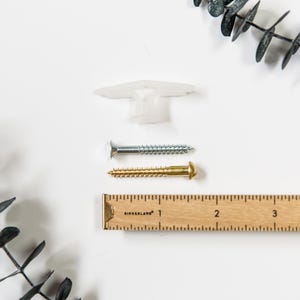 Può includere: Un tassello a muro in plastica bianca, due viti e un righello di legno con segni in pollici sono disposti su una superficie bianca. Una vite è argentata, l'altra dorata. Il righello misura fino a 10 cm.