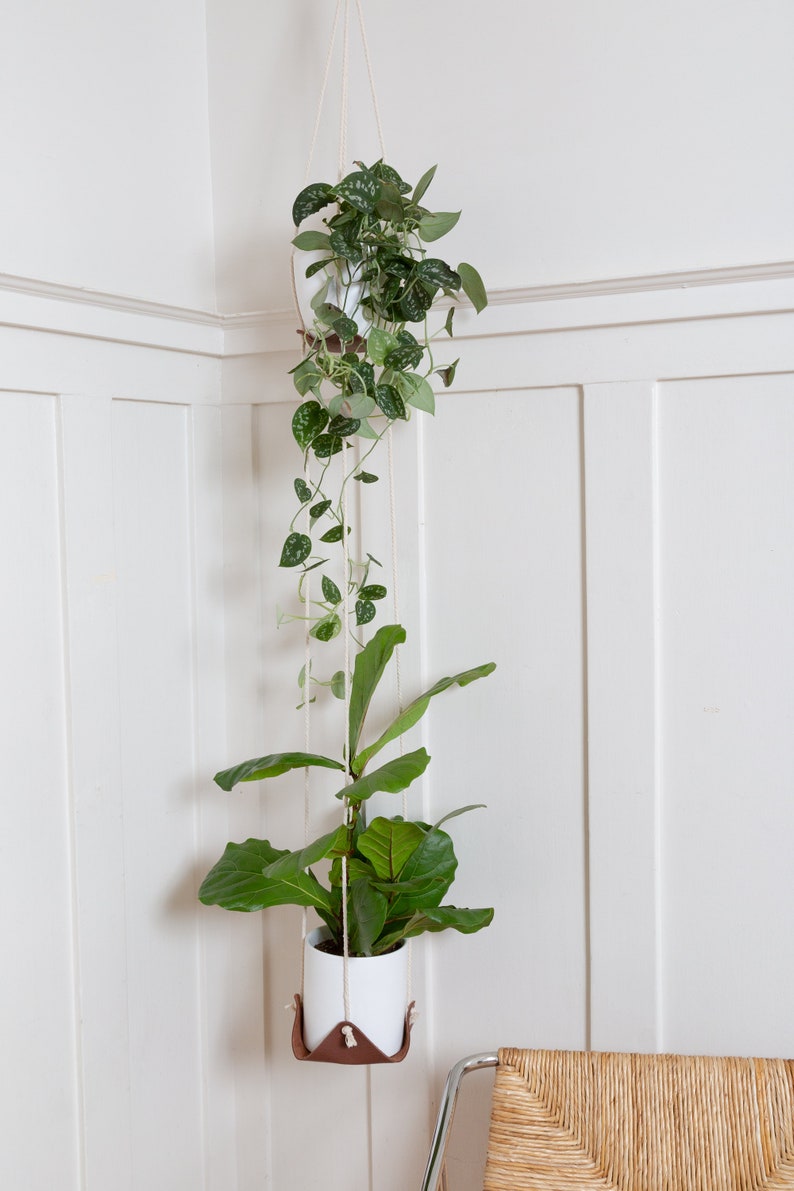 A Double Leather Plant Hammock suspended in a corner of a room.