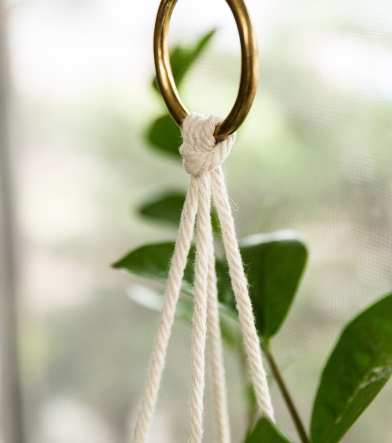 Closeup of brass ring, used to suspend the Leather Plant Hammock.