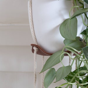 Closeup of a Double Leather Plant Hammock.