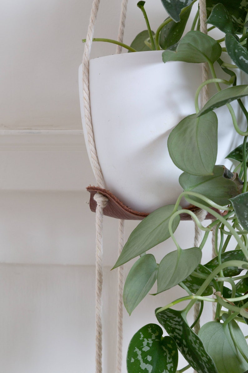 Closeup of a Double Leather Plant Hammock.