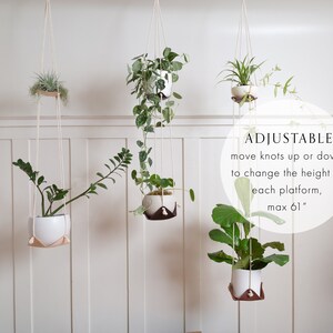 Three Double Leather Plant Hammocks suspended from the ceiling against a white background.