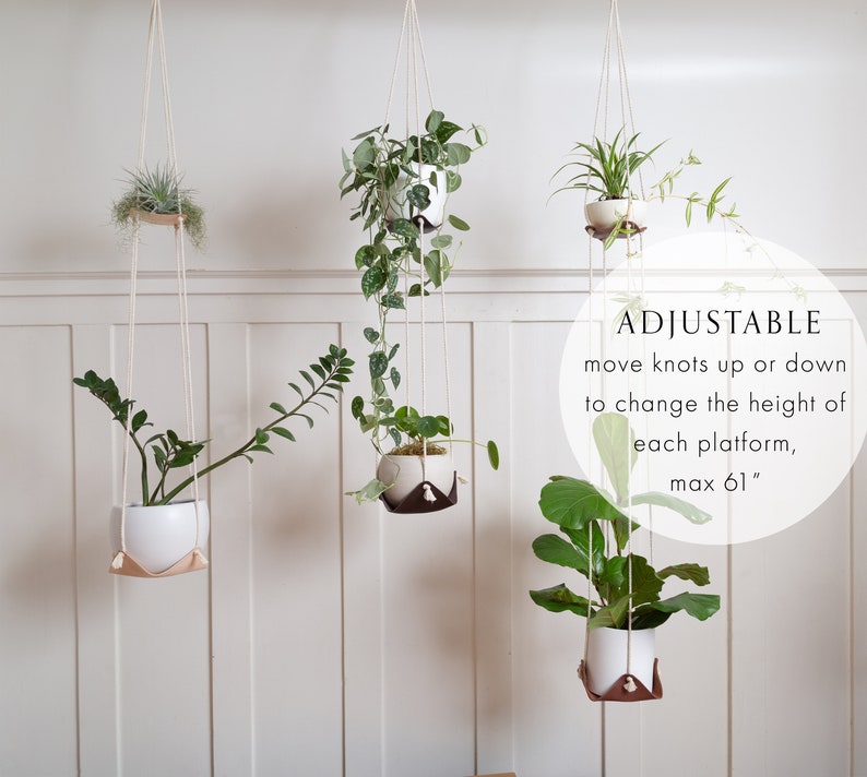 Three Double Leather Plant Hammocks suspended from the ceiling against a white background.