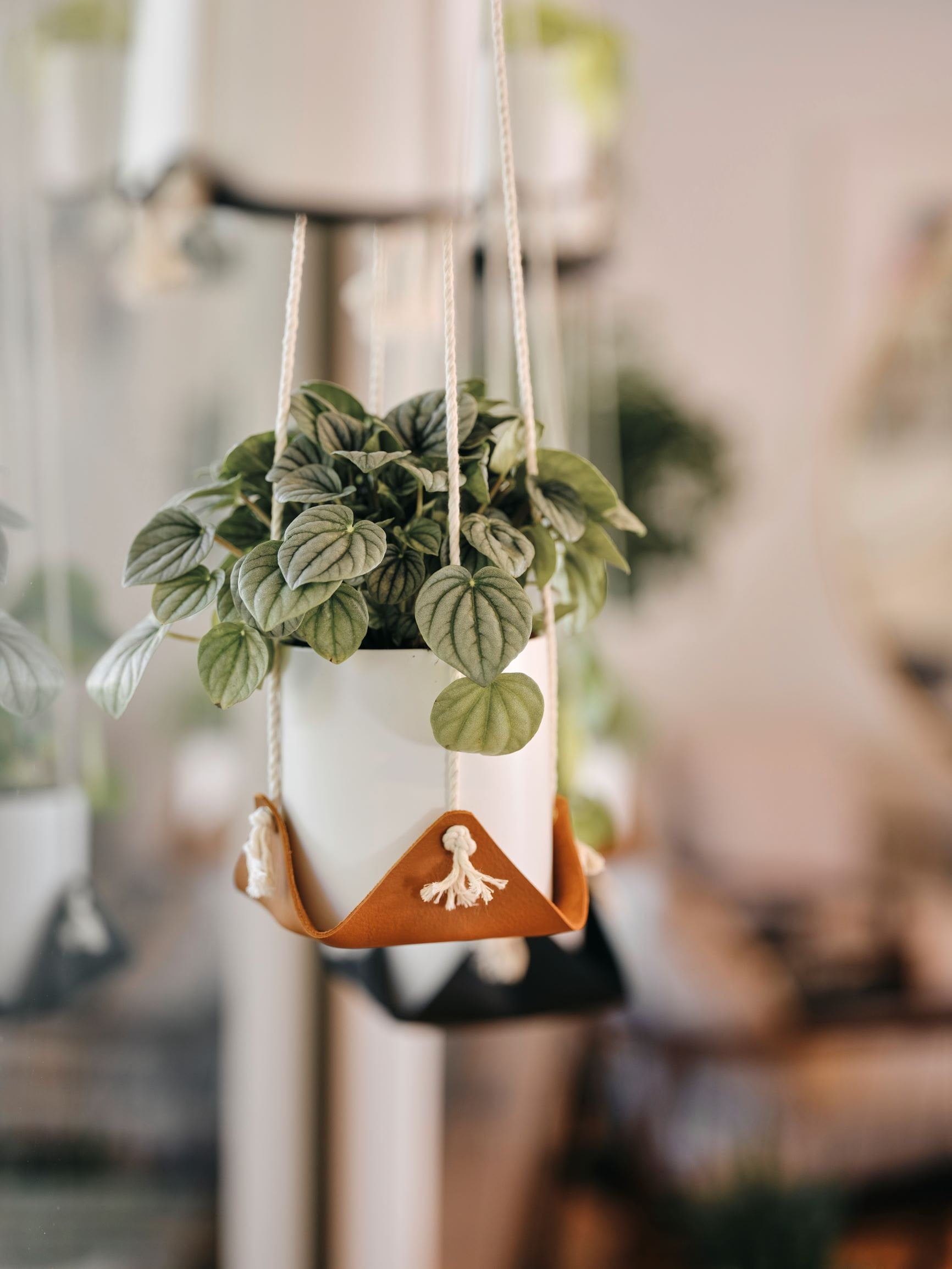 leather plant hammock hanging macrame plant hanger modern plant holde…