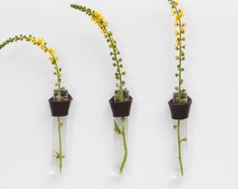 Vase Plant Start, fioles de multiplication en cuir et en verre pour bouturage de plantes, vase bourgeon, présentoir de décoration murale minimaliste [lot de 3]