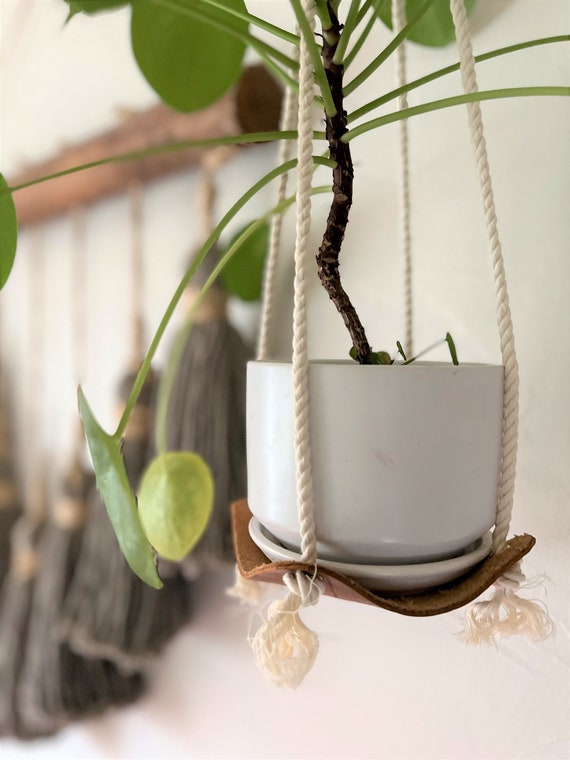 Suspension intérieure plante cintre cuir plante hamac intérieur jungle air  plante cintre macramé porte-plante minimal planteur hygge décor VENTE -   France