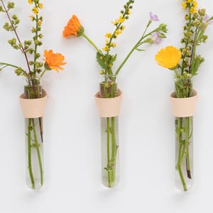 Leather Bud Vase Wall Hanging – Set of 3 Glass Vials for Dried Flowers, Fresh Stems or Propagation Display