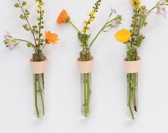 Leather Bud Vase Wall Hanging – Set of 3 Glass Vials for Dried Flowers, Fresh Stems or Propagation Display
