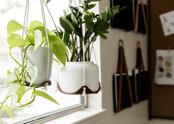 Indoor Hanging Plant Hanger Leather Plant Hammock Hanging Indoor Jungle Air Plant  Hanger Macrame Plant Holder Minimal Planter Hygge Decor - Etsy