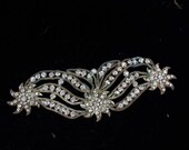 Antique Edwardian dress decoration