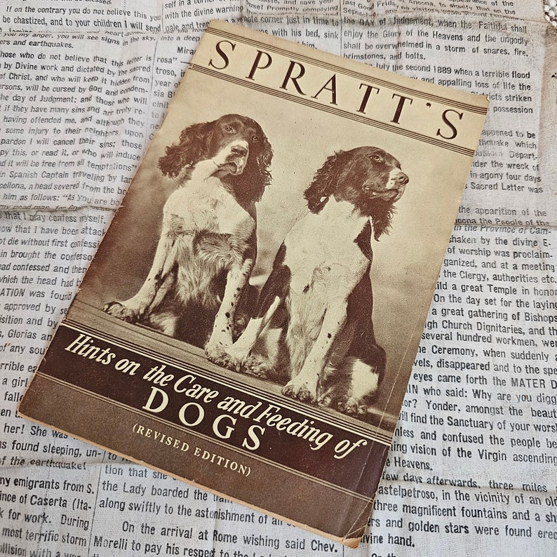 Vintage 1930's Magazine hints on the Care and Feeding of Dogs Catalog