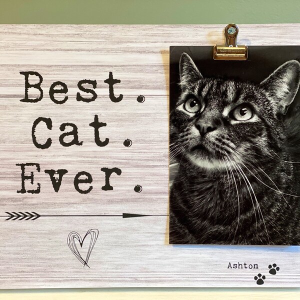 Cat Memorial Frame Etsy