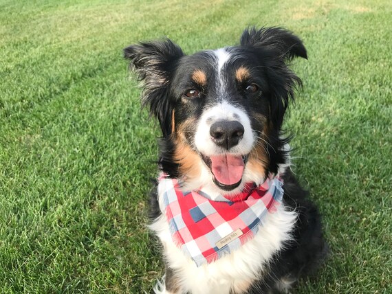 slip over collar dog bandanas