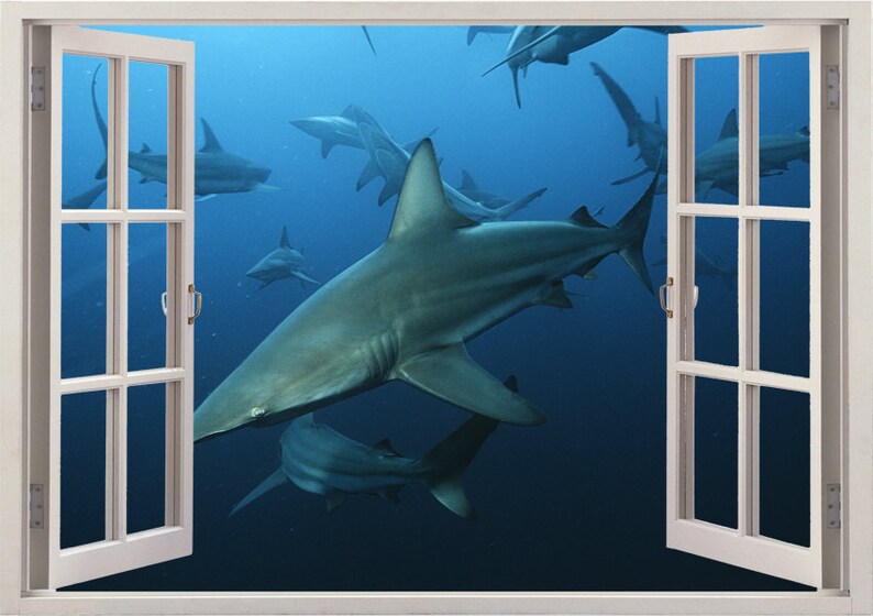 Blacktip Sharks Wall Sticker 3D Window Shark Wall Decal for Etsy
