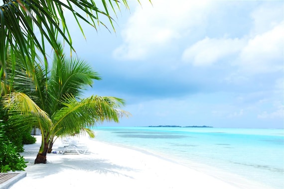 Island Beach Tropical Landscape Sea Holidays Smashed Wall Decal 3D Sticker OP12 Island Beach Tropical Landscape Sea Holidays Smashed Wall Decal 3D Sticker OP12