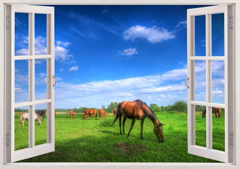 wild horse wall sticker 3d window horse wall decal for home | etsy