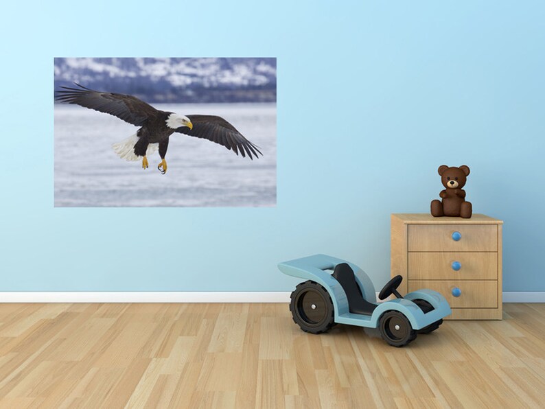 Eagle Wall Decal Vinyl Alaskan Bald Eagle Decal for Home Etsy