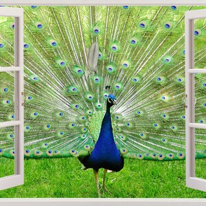 Peacock Wall Sticker Window Peacock in Green Park Wall Decal - Etsy