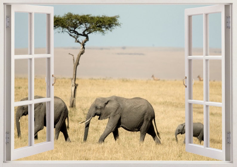 Elephants Wall Sticker 3D Window for Kids Children Room Etsy